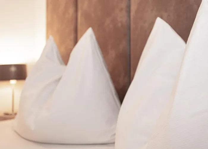 Schmittental Self-check-in 3*